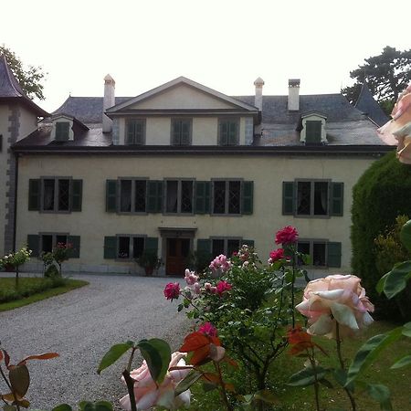 Château de Veigy Hotel Exterior foto