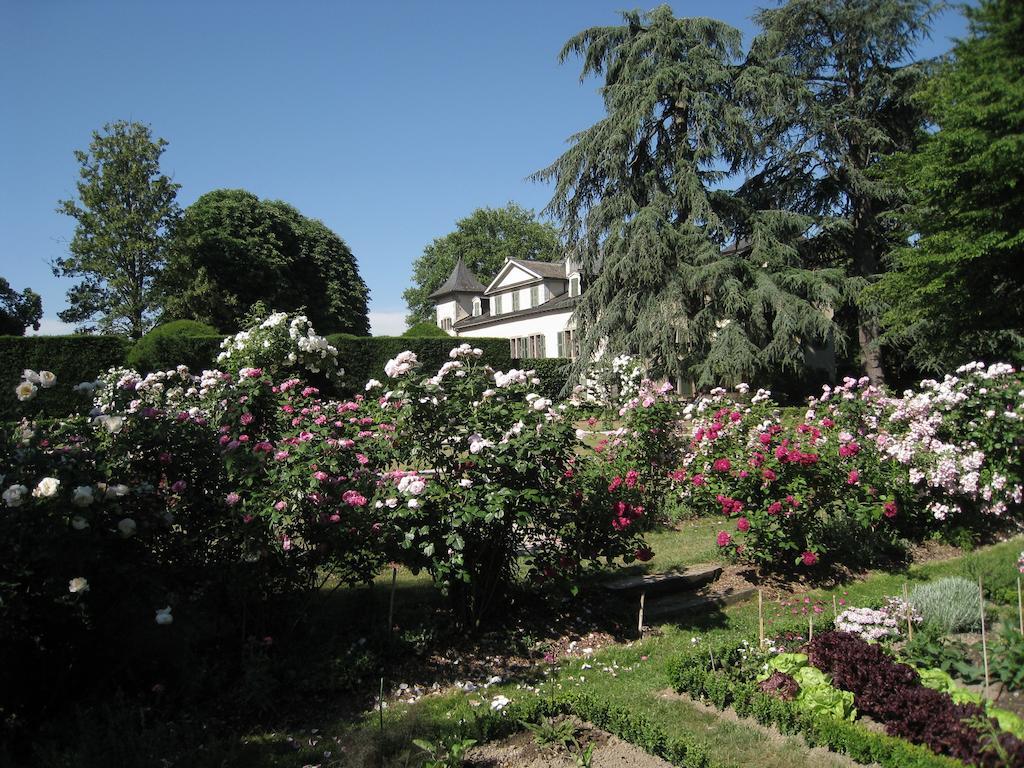 Château de Veigy Hotel Exterior foto